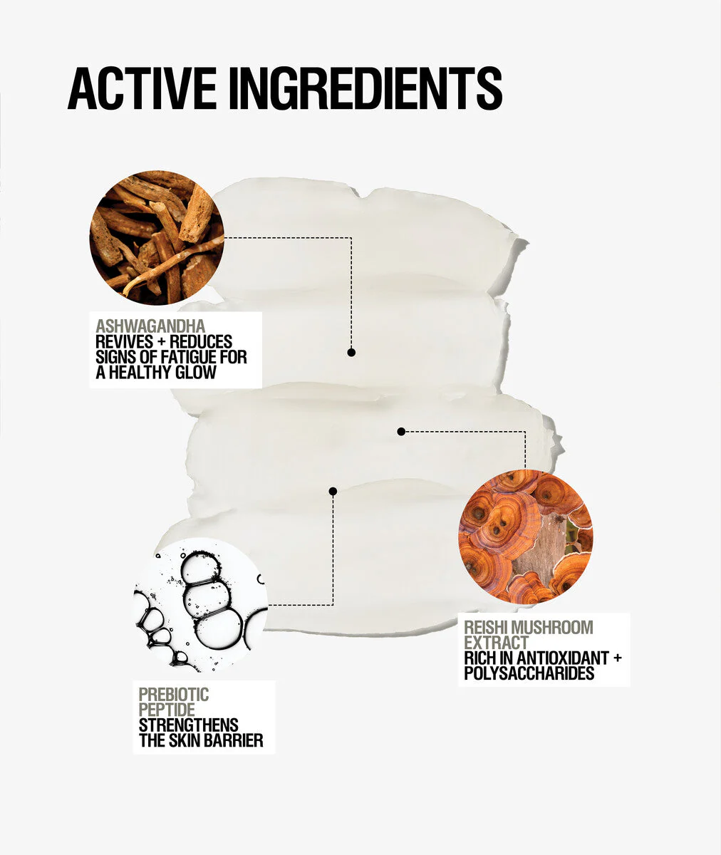 Exfoliate + Defend Bundle - Image 5